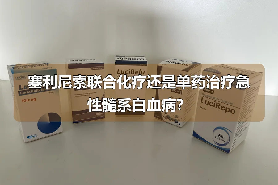 塞利尼索联合化疗还是单药治疗急性髓系白血病?