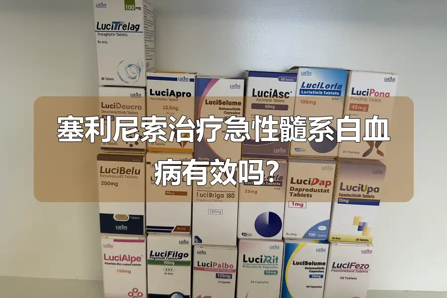 塞利尼索治疗急性髓系白血病有效吗?